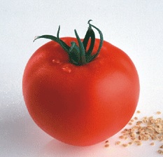 Tomate Petula RZ F1