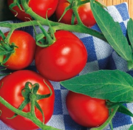 Seminte semi-profesionale de legume Tomate HEINZ