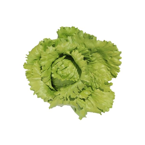 Salata Aruanas RZ