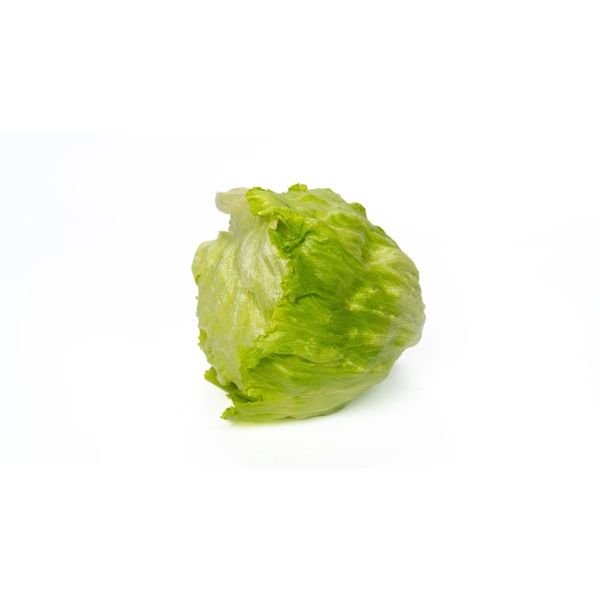 Salata Aruanas RZ