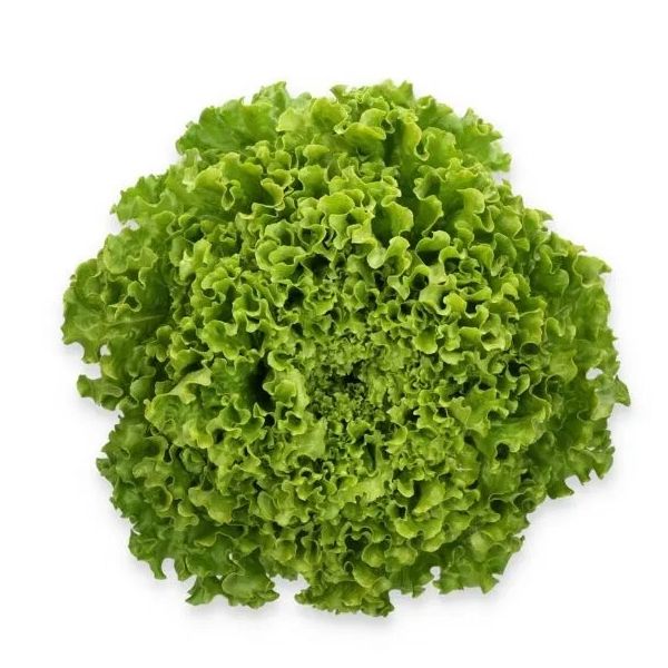Salata Comedion RZ