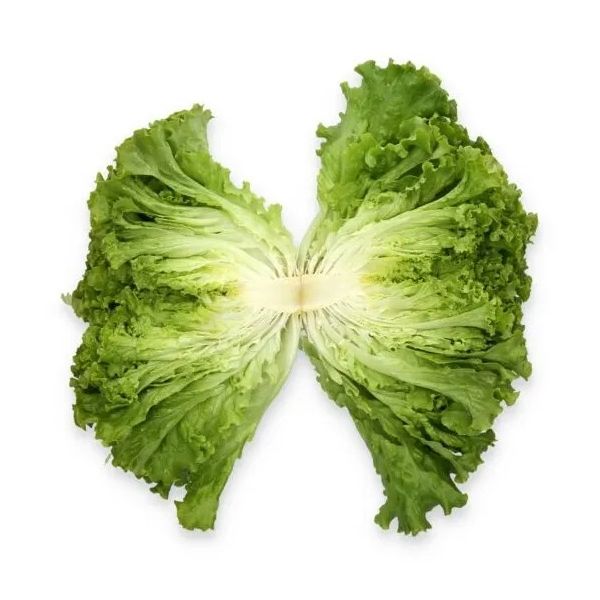 Salata Comedion RZ