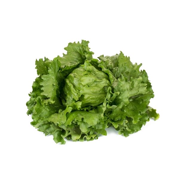 Salata Feddenas RZ