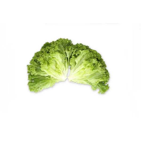 Salata Liadine RZ Salata Liadine RZ