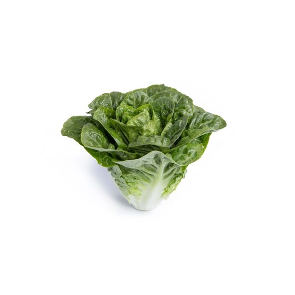 Salata Ralove RZ
