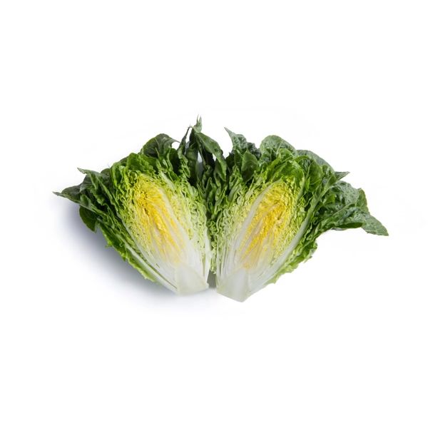 Salata Ralove RZ