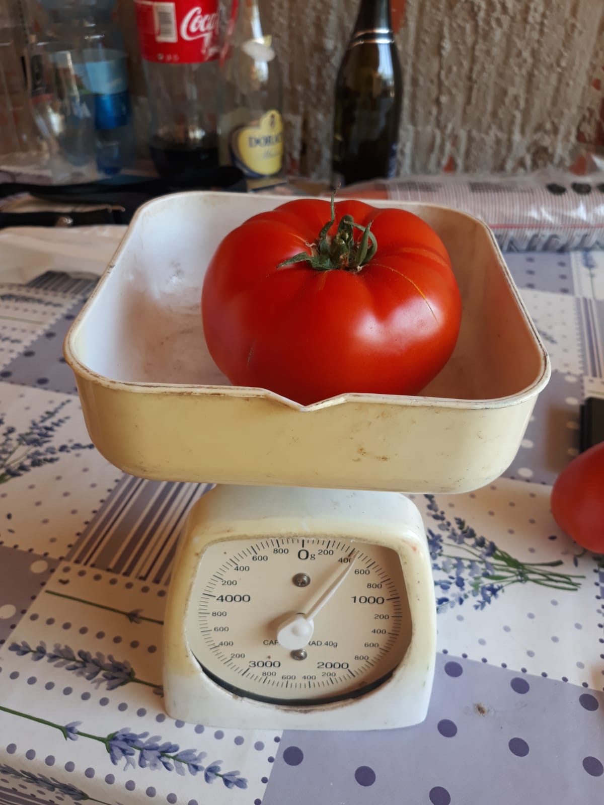 Tomate Red Sonny RZ F1