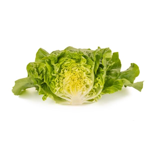 Salata Abellina RZ Salata Abellina RZ