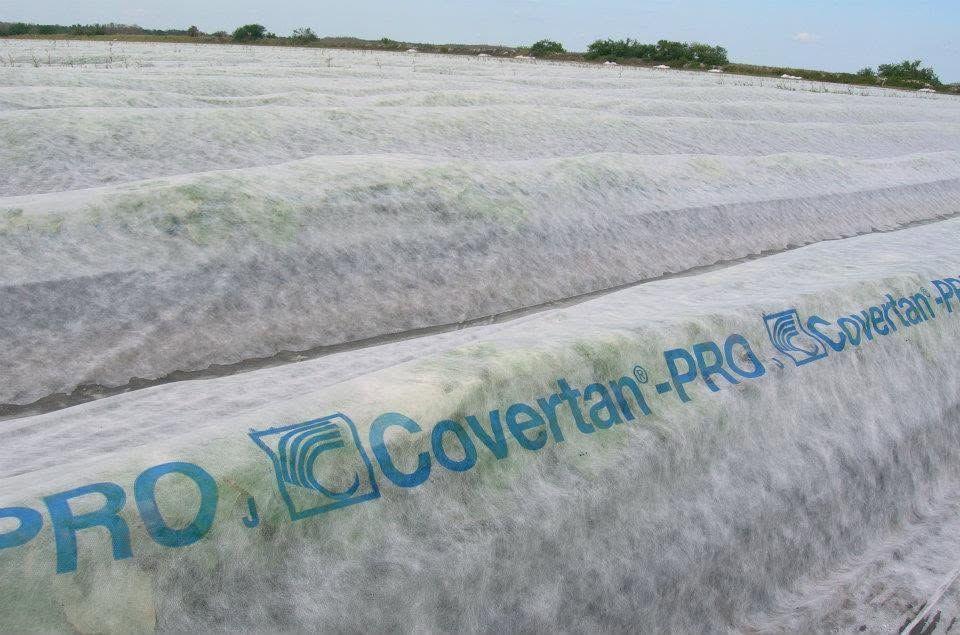 Folie agrotextil pentru protectia culturilor