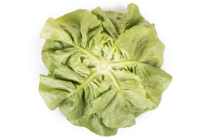 Salata Danubia RZ Salata Danubia RZ