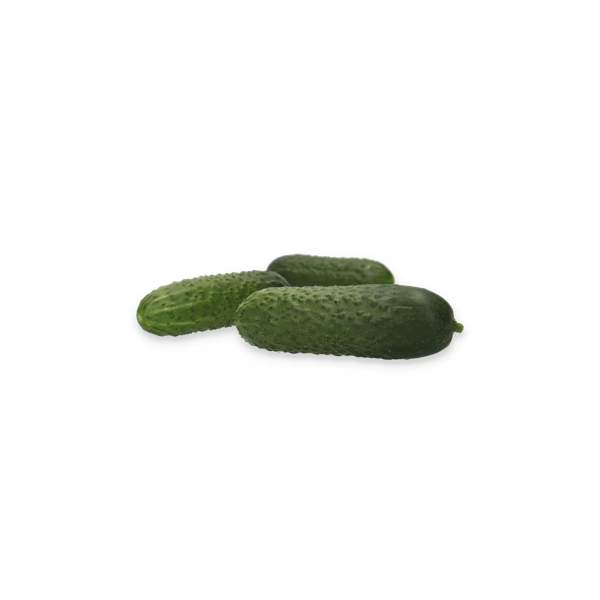Castraveti cornichon Ilonara RZ F1 Castraveti cornichon Ilonara RZ F1