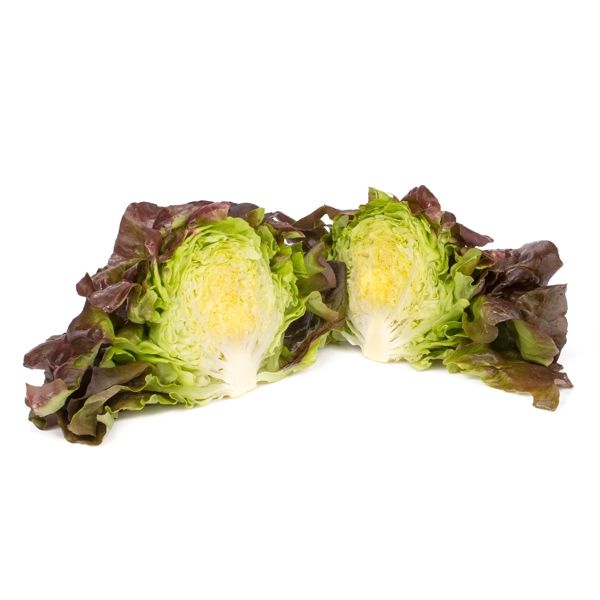 Salata Jerrican RZ