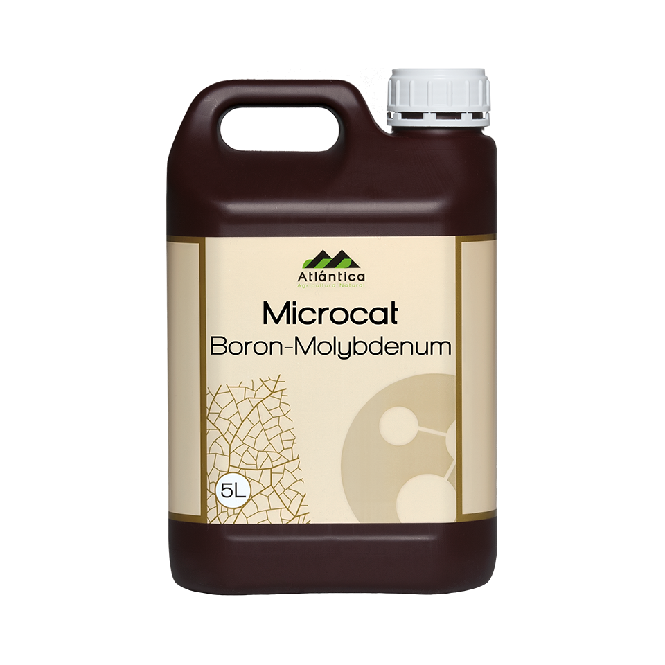 Alte produse pentru nutritia plantelor MICROCAT B-Mo