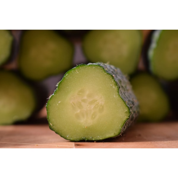 Castraveti cornichon Resital RZ F1 Castraveti cornichon Resital RZ F1
