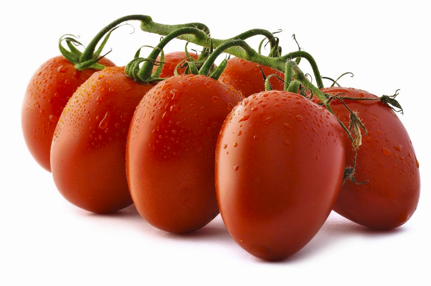 Seminte semi-profesionale de legume Tomate RIO GRANDE