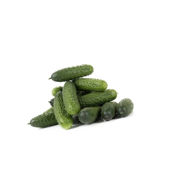 Castraveti cornichon Romara RZ F1