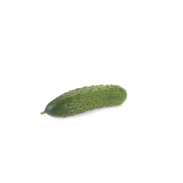 Castraveti cornichon Romara RZ F1