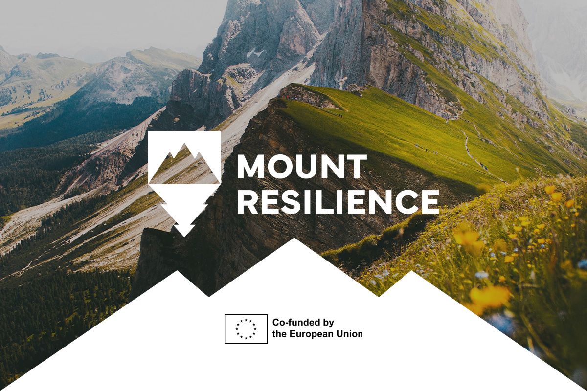Mount Resilience